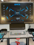 SFE Commercial Pro Treadmill