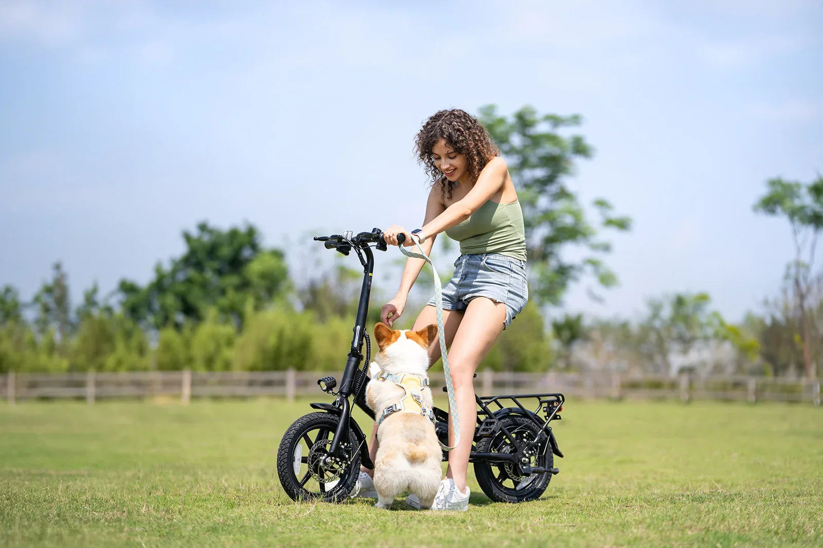DYU-C3 Folding Electric Bike - Compact Aluminum Design