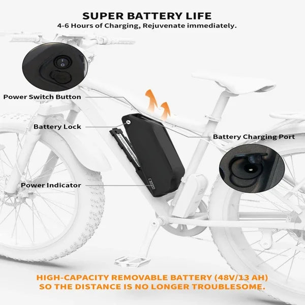 750W Motor Electric Bike - 48V Battery, 20" Wheels