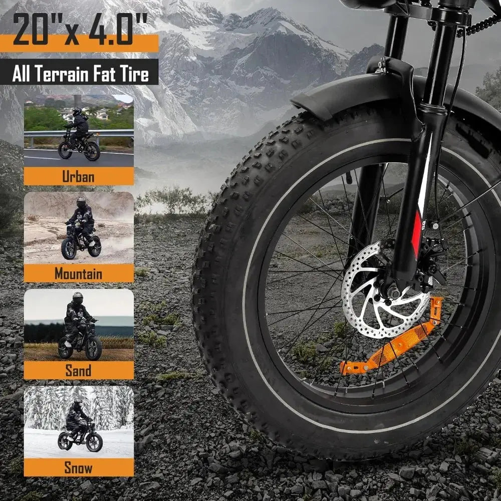 Adult Electric Bike: 1000/3000W Motor + 48V Removable Battery