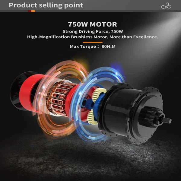 750W Motor Electric Bike - 48V Battery, 20" Wheels