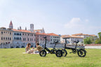 DYU-C3 Folding Electric Bike - Compact Aluminum Design