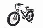 X-Treme Rocky Road 48 Volt 17 Amp Fat Tire Electric Mountain Bicycle