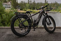 52V 750W Adult eBike - 17AH Battery, Top Speed 32km/h