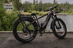 52V 750W Adult eBike - 17AH Battery, Top Speed 32km/h