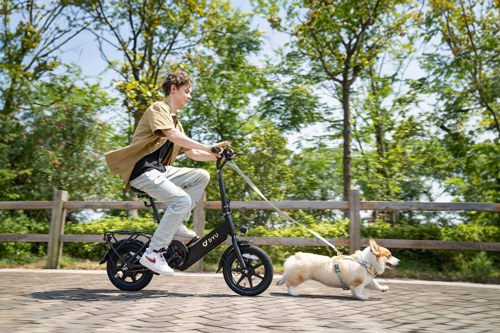 DYU-C3 Folding Electric Bike - Compact Aluminum Design