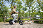 DYU-C3 Folding Electric Bike - Compact Aluminum Design