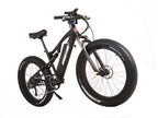 X-Treme Rocky Road 48 Volt 17 Amp Fat Tire Electric Mountain Bicycle